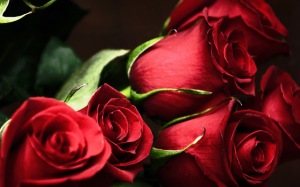Authentic Red Roses