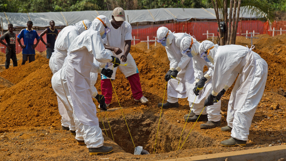 The Ebola epidemic in West Africa in 2014